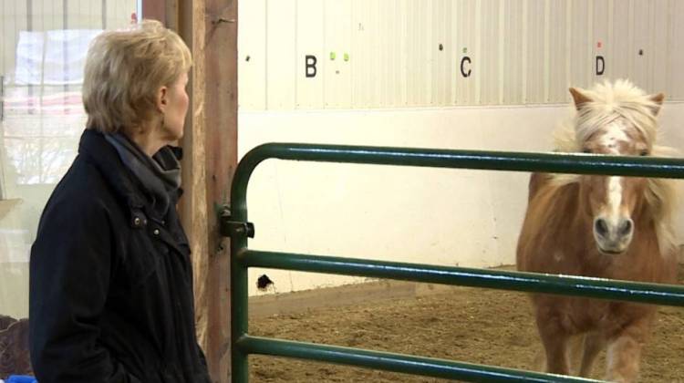 Program director at Agape Therapeutic Riding, Linda Hazard, watches as men in the group participate in a training activity with the horses called lunging. - Jill Sheridan/IPB