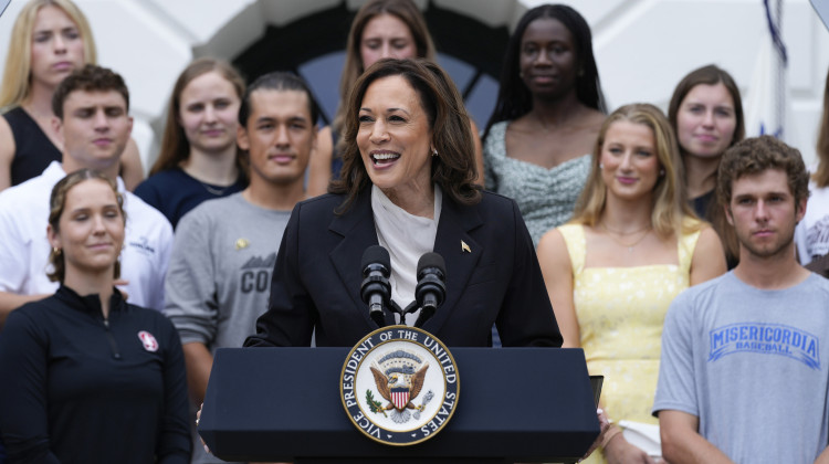 Vice President Kamala Harris speaks from the South Lawn of the White House in Washington, Monday, July 22, 2024, during an event with NCAA college athletes. This is her first public appearance since President Joe Biden endorsed her to be the next presidential nominee of the Democratic Party. - Susan Walsh/AP Photo
