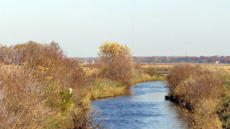 The Kankakee River below the headwaters near Crumstown, Indiana. - Chris Light, CC-BY-SA-3.0