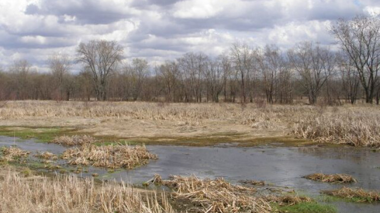 The Aukiki Wetland Conservation Area in Jasper County, 2007. - Chris Light/Wikimedia Commons