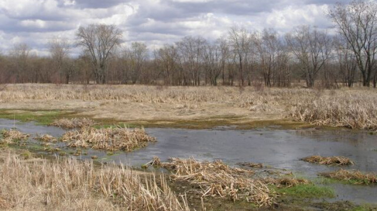 The Aukiki Wetland Conservation Area in Jasper County, 2007.  - Chris Light/Wikimedia Commons