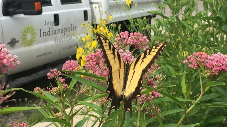 Keep Indianapolis Beautiful is the local affiliate of Keep America Beautiful. The nonprofit aims to make a cleaner and more environmentally friendly city.  - (Photo courtesy of Keep Indianapolis Beautiful)