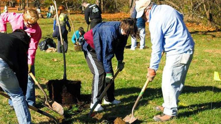 City Marks Milestone In Tree Plantings