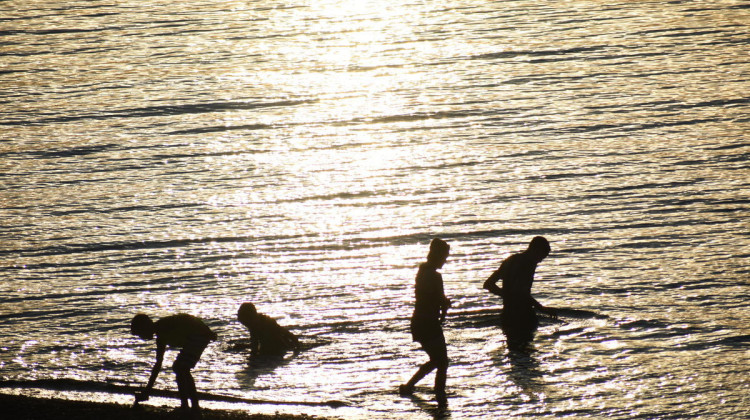 Kids playing in Lake Michigan. - (Justin Hicks/IPB News)