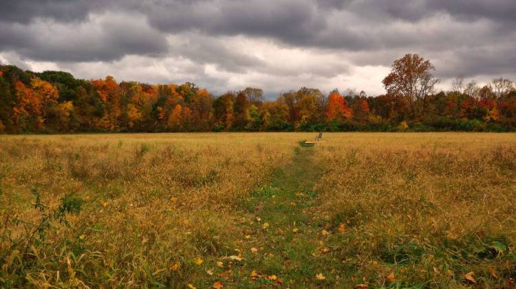 Secluded Land Will Be Protected