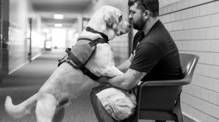 The Indiana Canine Assistance Network will use a $25,000 gift to provide two Indiana veterans with their own dogs. - Indiana Canine Assistance Network (ICAN)