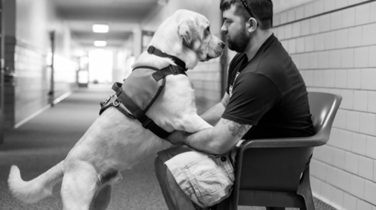 Veterans and shelter dogs benefit from Indiana Legion gift