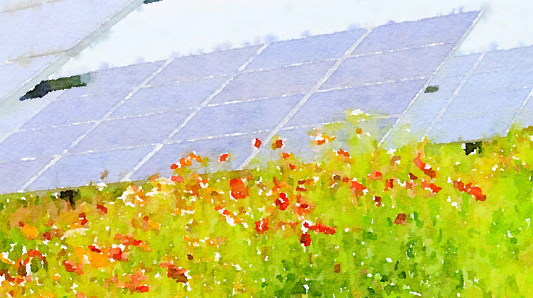 Artist rendering of the planned Logansport solar farm and pollinator habitat  - Courtesy of Fresh Energy