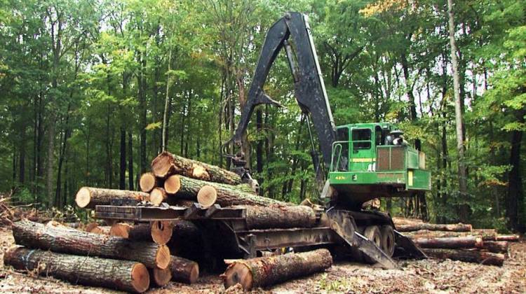 A stack of wood sits in the Yellowwood State Forest where logging is taking place. - Bill Shaw