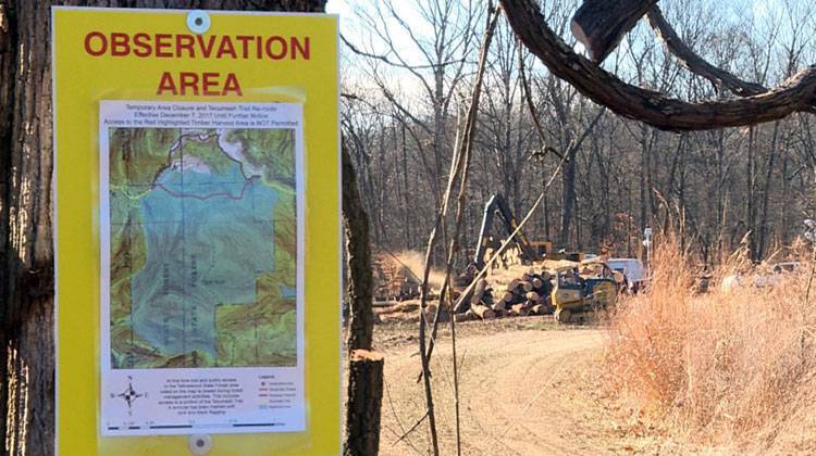 Crews began logging in Yellowwood State Forest on Tuesday. - Zach Herndon/WFIU