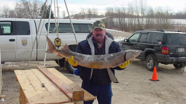 Conservation Groups Threaten Lawsuit Over Lake Sturgeon, Again