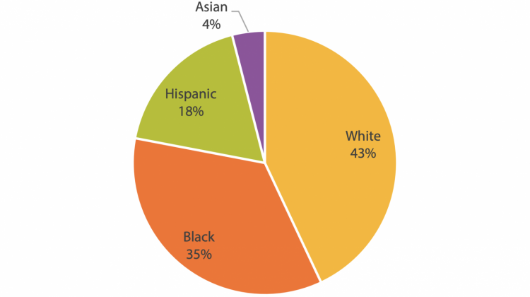 Child population by race and ethnicity in Marion County, according to the Marion County Commission on Youth. More than 235,000 children ages 0-17 years  live in Marion County. - Marion County Commission on Youth