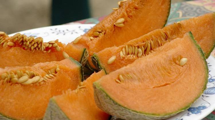 Purdue Extension to Hold Workshops on Melon Safety