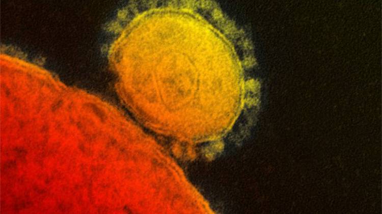 Indiana MERS Patient Asymptomatic