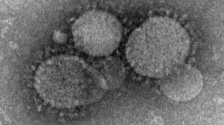 Second Case Of MERS Found In U.S.