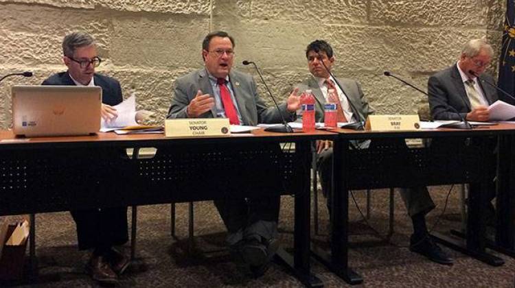 Sen. Mike Young (second from left) speaks in a Senate Committee hearing on January 19, 2016. - Drew Daudelin