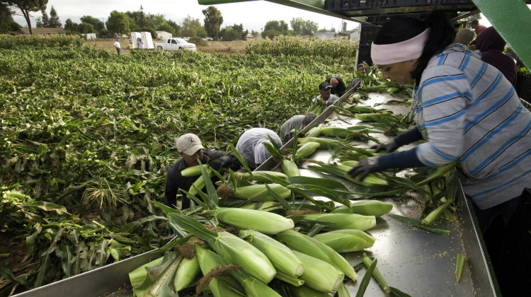 Man gets 'rare' federal prison sentence for trafficking farmworkers in Indiana, other states