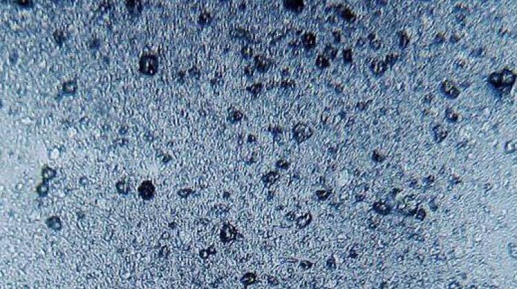 Microbead Ban Moves To Senate Without Opposition