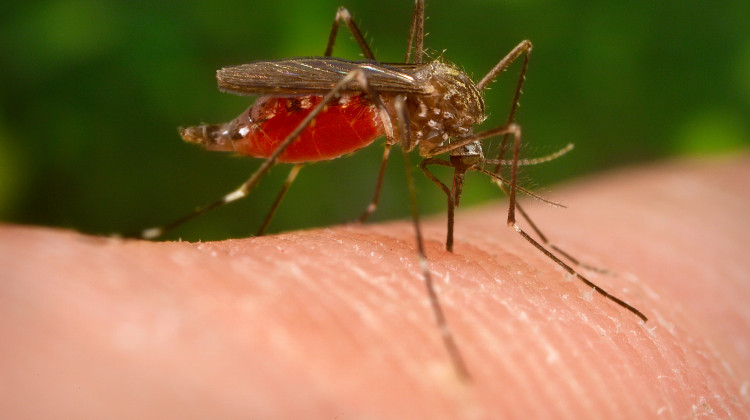 The mosquito-borne eastern equine encephalitis virus was detected in multiple northern Indiana counties, with four horses testing positive for the virus. - Centers for Disease Control and Prevention