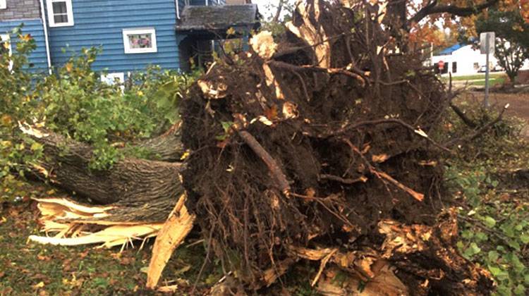 A National Weather Service survey team took this photo of storm damage in Muncie, Indiana on Monday, Nov. 6. - Courtesy National Weather Service