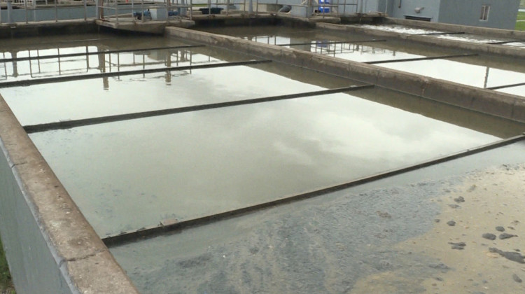 The grimy substance at the bottom is oil mixed with wastewater at Speedway's treatment plant.  - Rebecca Thiele/IPB News