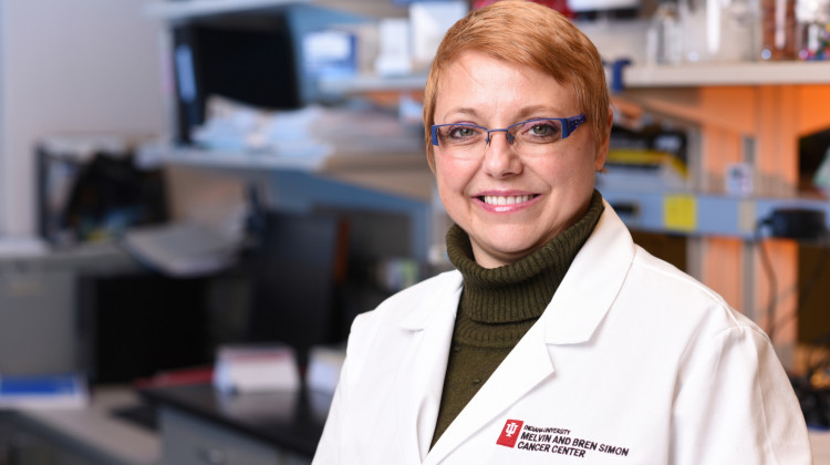 Sophie Paczesny, MD, PhD, professor of pediatrics and of microbiology and immunology at IU School of Medicine and a researcher at the Indiana University Melvin and Bren Simon Cancer Center.  - Courtesy of IU Simon Cancer Center