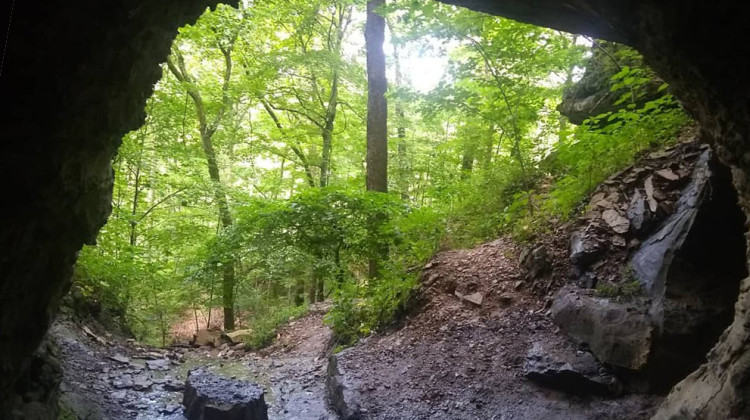 U.S. Sen. Mike Braun (R-Ind.) wants to more the double the size of the Charles C. Deam Wilderness and include it as part of a national recreation area. - Rebecca Thiele/IPB News