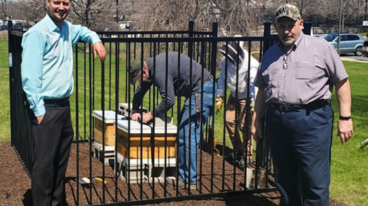 Honeybees at U.S. courthouse in Hammond part of federal pollinator initiative