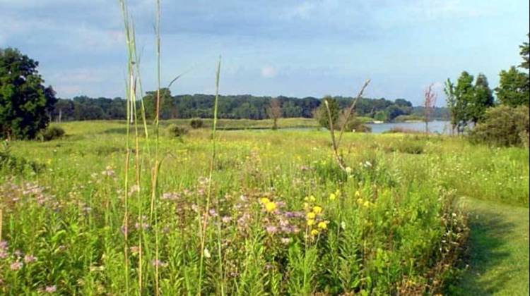 Potato Creek State Park, about 10 miles southwest of South Bend, is one of Indiana's most popular state parks. - Photo courtesy IDNR
