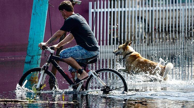 A man rides a bicycle through floodwater as a dog runs beside him in the Juana Matos community one week after the passage of Hurricane Maria in Catano, Puerto Rico, Thursday, Sept. 28, 2017. - AP Photo/Carlos Giusti