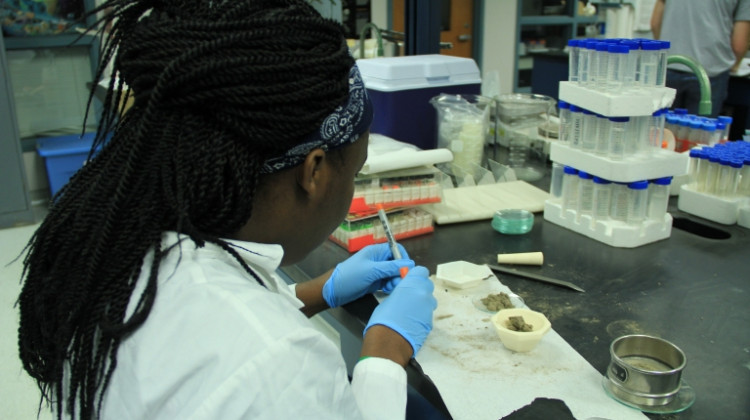 Isheka Orr analyzes dust in the lab. Orr, from Claflin University, is participating in IUPUI's Diversity Summer Undergraduate Research Opportunity Program. - Photo courtesy IUPUI