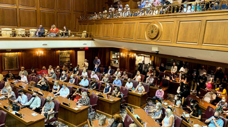 More than 100 Hoosiers crowded the Indiana House chamber and Statehouse hallways for a hearing on redistricting. - Brandon Smith/IPB News