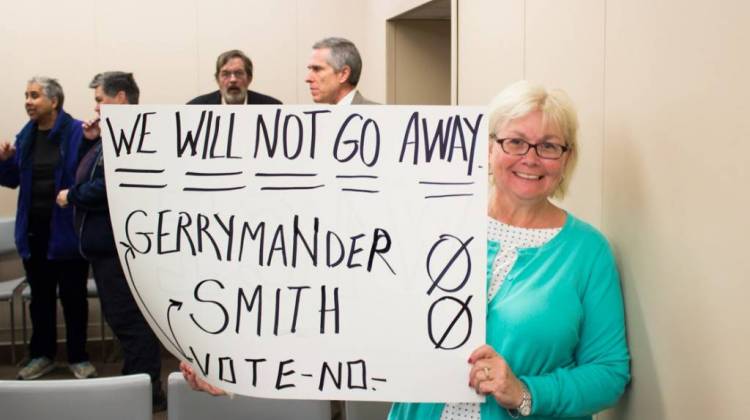 Barbara Wolanin was one of around 30 people protesting the legislature's failure to adopt redistricting reform. - Nick Janzen/IPB