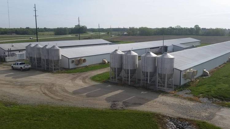 A hog CAFO off Rt. 25 in Tippecanoe County. - Annie Ropeik/IPB News