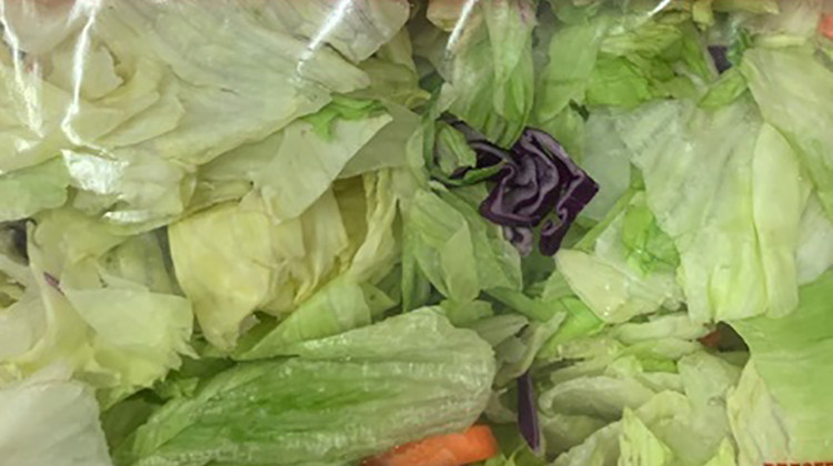 The salad mix containing carrots, red cabbage, and iceberg lettuce is packaged as Hy-Vee Brand Garden Salads, Jewel-Osco Signature Farms Brand Garden Salads and ALDI Little Salad Bar Brand Garden Salads.