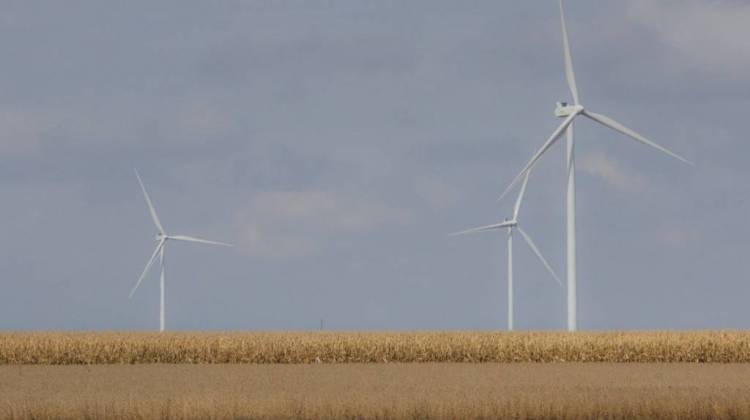 Soybeans and corn grow in front of wind turbines at the Meadow Lake wind farm in northwest Indiana.  - Annie Ropeik/IPB News