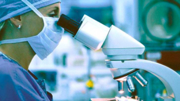 Indiana's Life Sciences Sector Sees Record Venture Funding