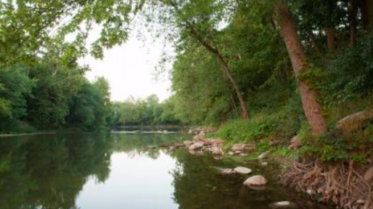 2020 White River Mainstem Project - 2020 White River Mainstem Project