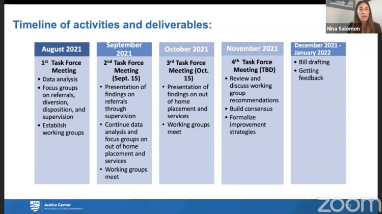 The Juvenile Justice Task Force plans to issue recommendations in November. - Screenshot of Zoom
