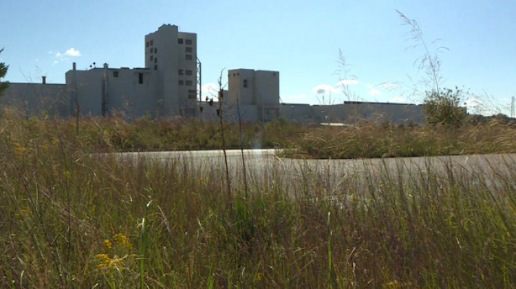 The U.S. Steel plant in Portage as seen from Indiana Dunes National Park. - (FILE PHOTO: Tyler Lake/WTIU)