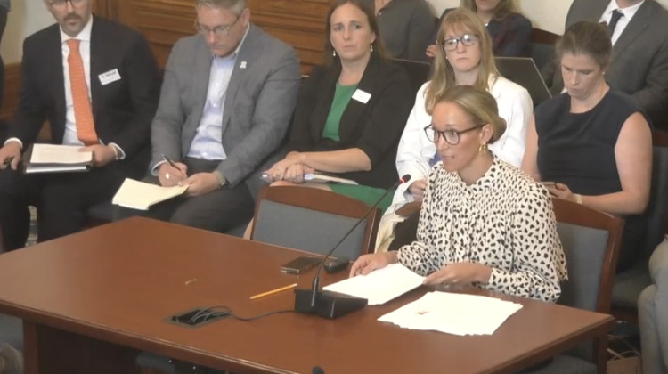 Health Commissioner Lindsay Weaver during a recent committee meeting on infant mortality rates - Screenshot from Indiana state website