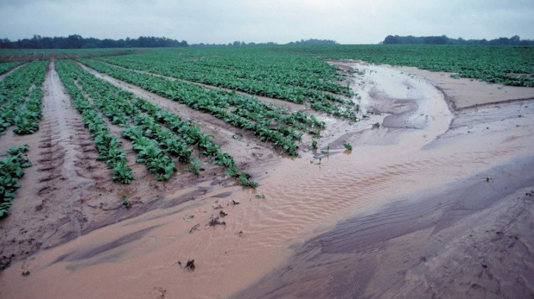 Runoff from a farm field in New Mexico, 2016. - Natural Resources Conservation Service, USDA