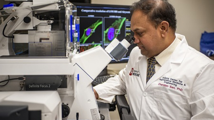 Indiana Center for Regenerative Medicine and Engineering Director Chandan Sen
