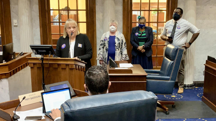 Members of Indiana's independent citizen redistricting commission testify at the Senate Elections Committee.  - Brandon Smith/IPB News