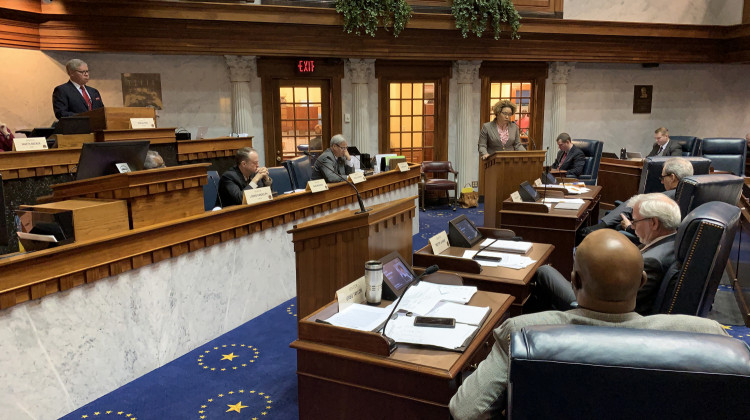 The Senate Public Policy Committee considers testimony on a hate crimes bill.  - (Brandon Smith/IPB News)