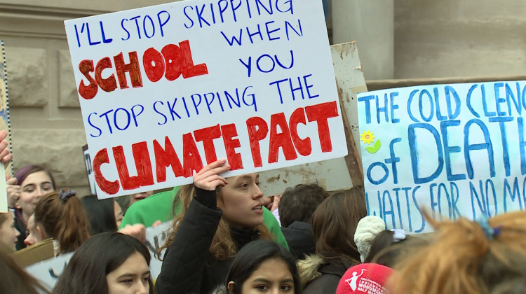 Signs at the Youth Climate Strike. - Steve Burns/WTIU