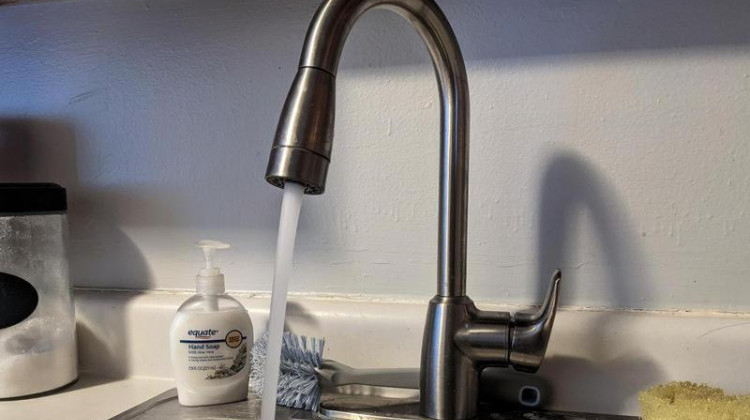 Of the drinking water utilities the state tested, only two had detectable levels of PFAS in their treated water. - (Lauren Chapman/IPB News)