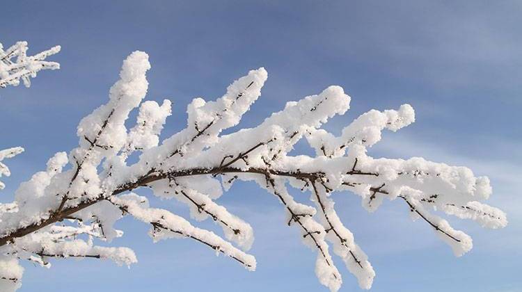 Indiana Climatologist: Warmup In Forecast By Mid-January