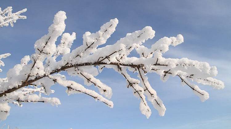 More Snow, Bitter Cold On The Way