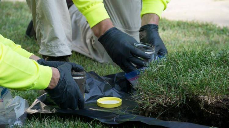 Workers collect soil samples from a yard. - EPA